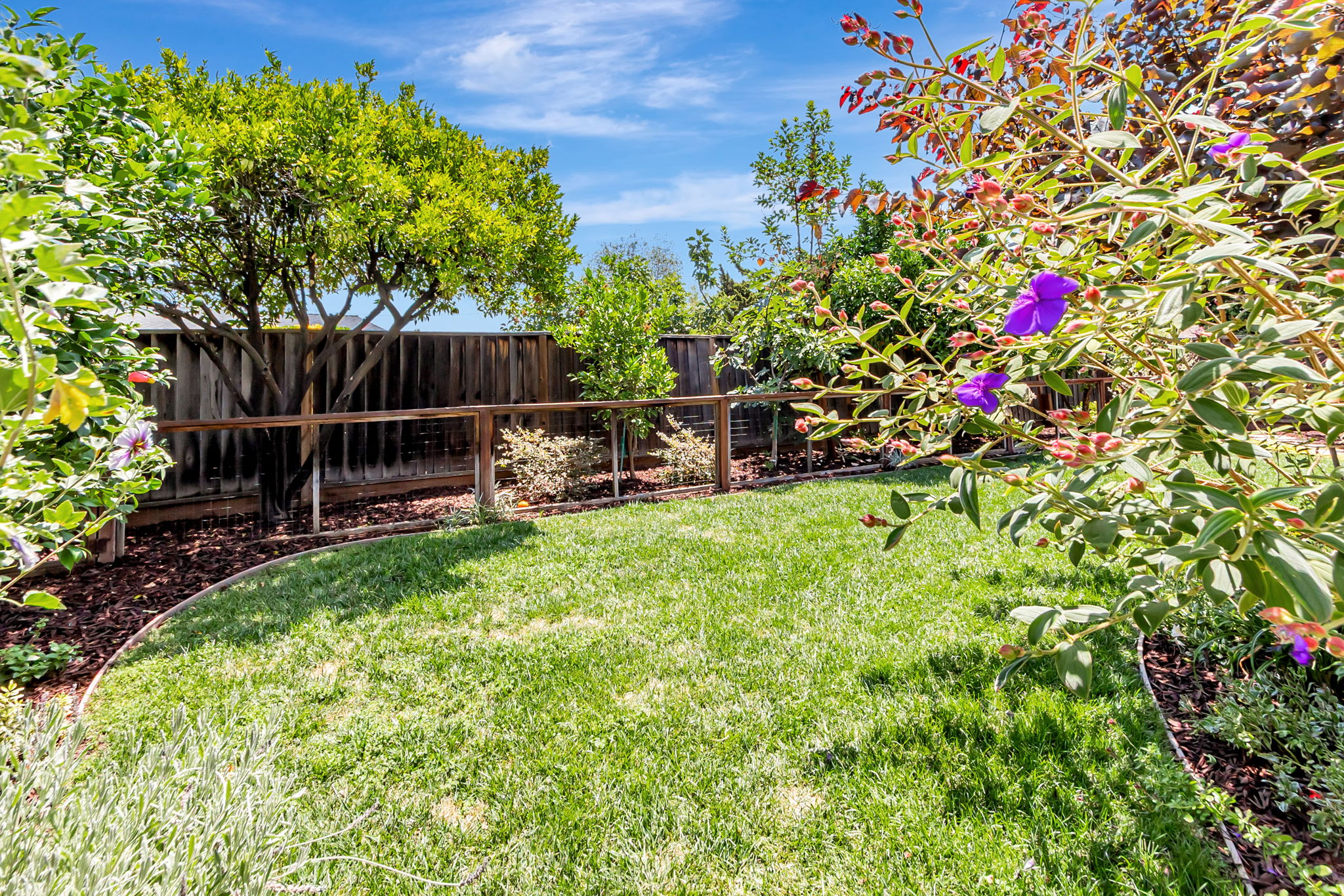 054_5412 Starcrest Dr