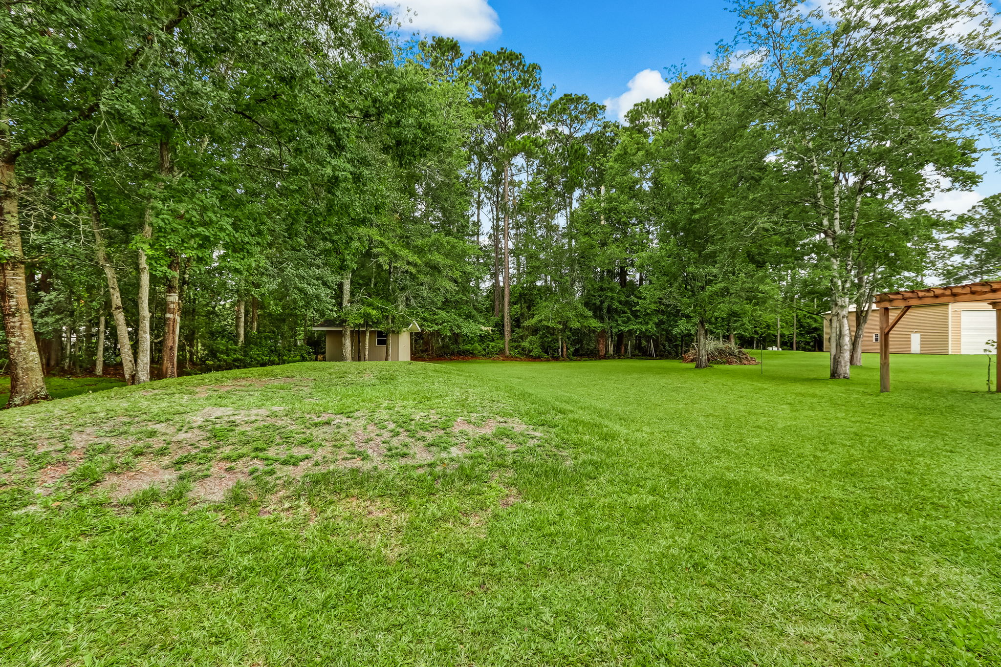 Backyard