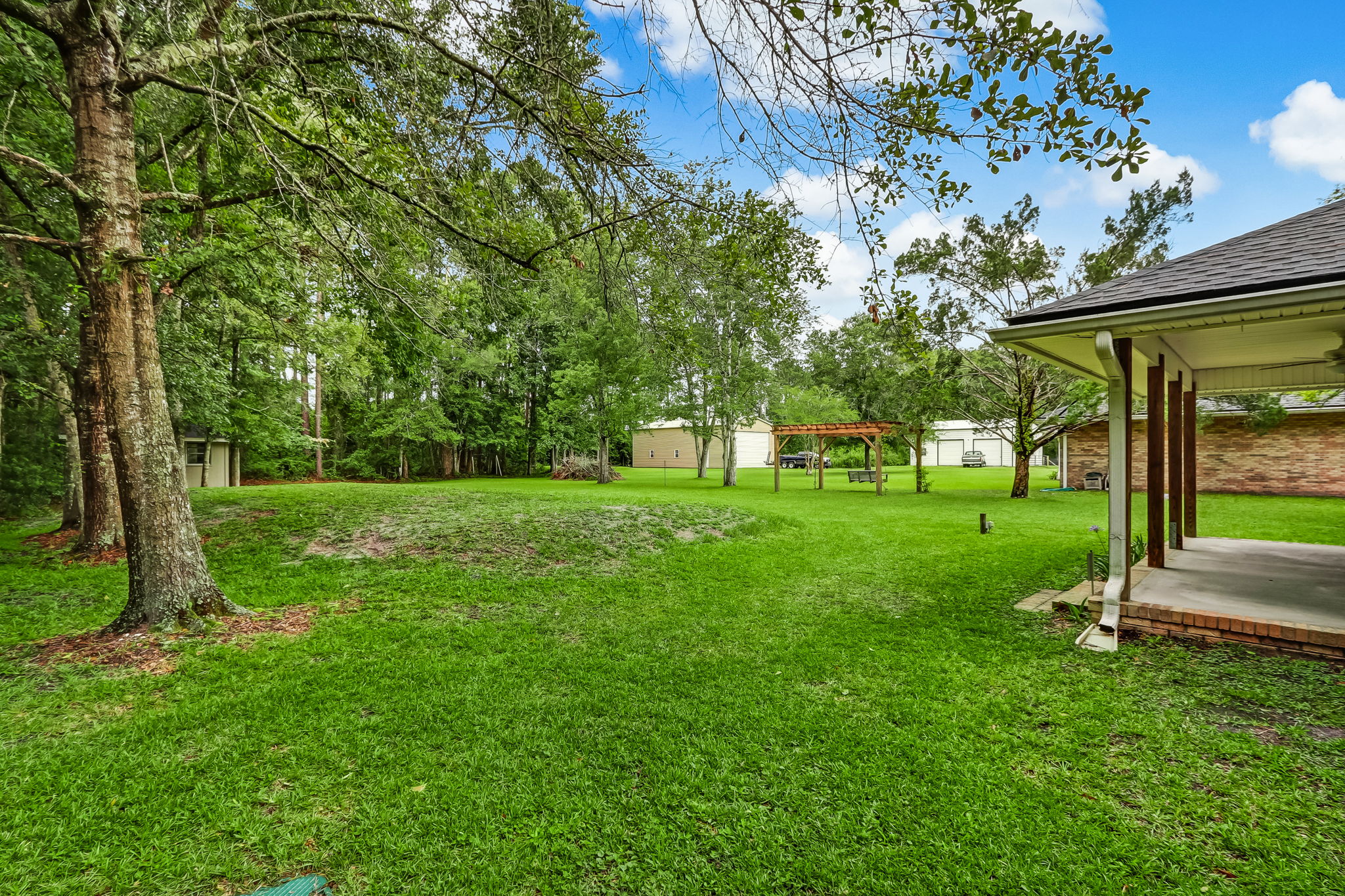 Backyard