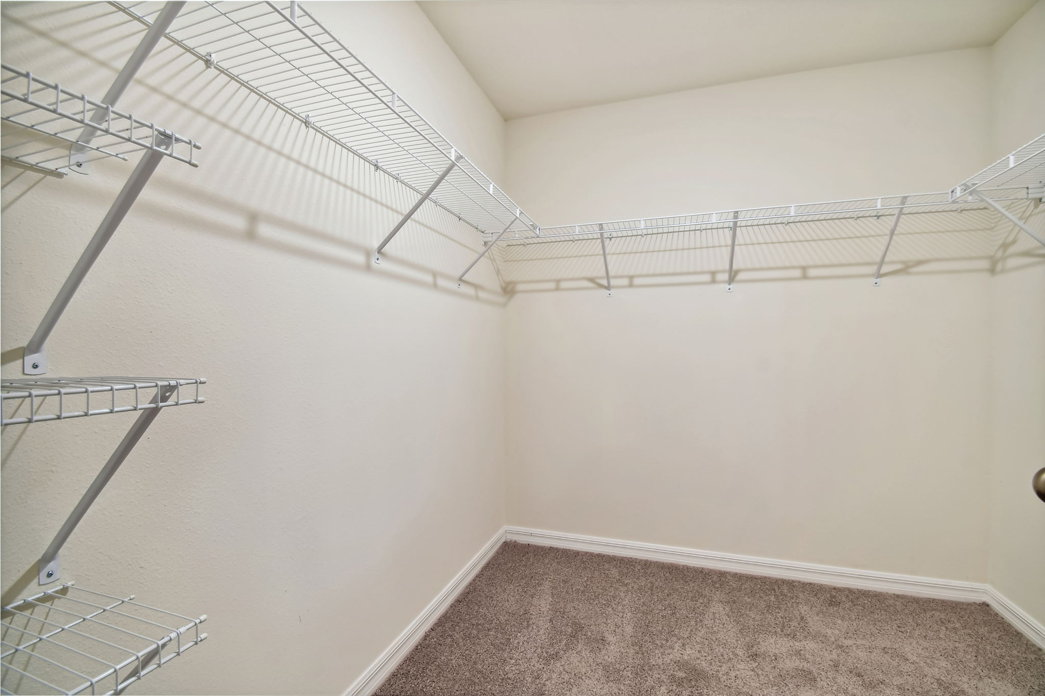 43 - 5415_Logan_Cave_Ave_Wimauma_FL_33598