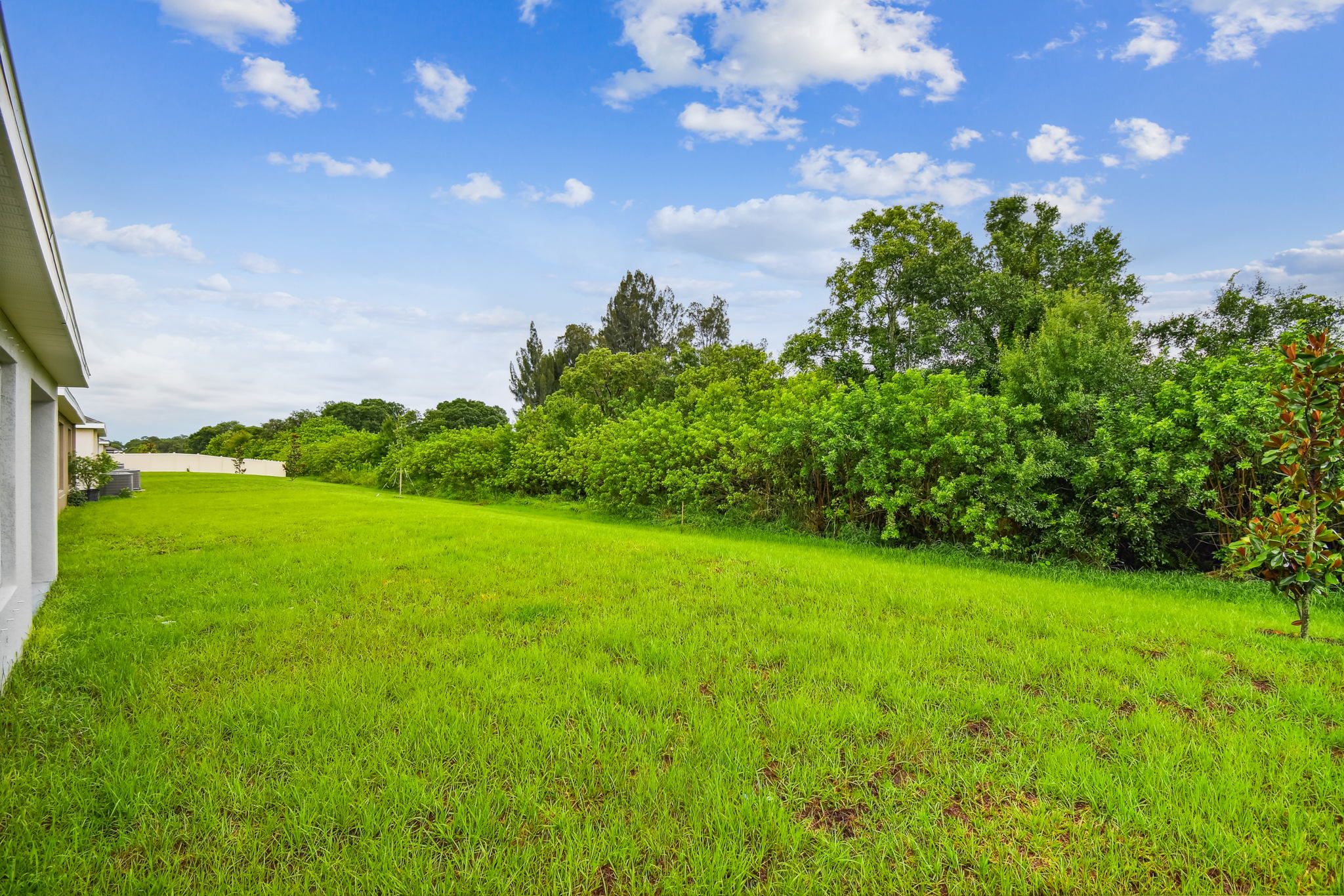 78 - 5415_Logan_Cave_Ave_Wimauma_FL_33598