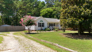 Spacious front yard with mature trees