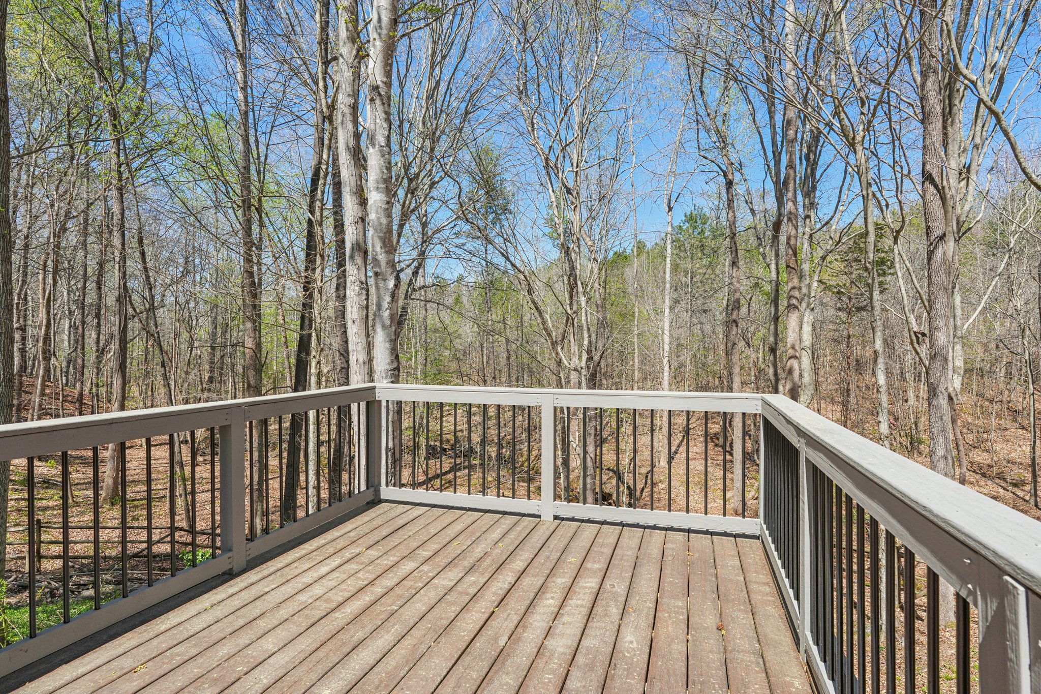 Ashbury Ln-S3003-065.jpg