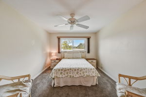 Swift Rd-026