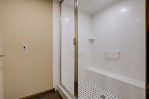 33 Basement Bathroom4