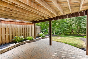  Photo 44