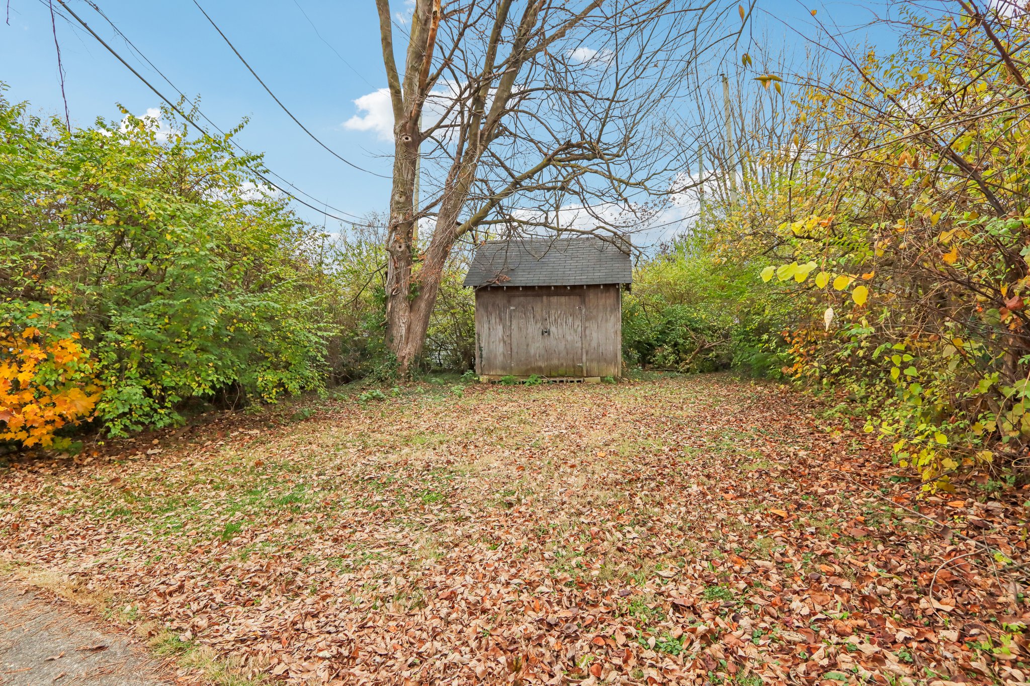 Additional Parcel & Storage Shed