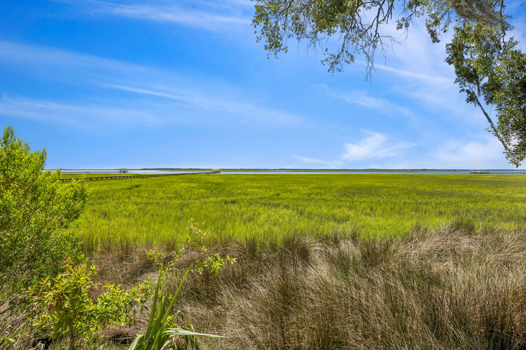 Marsh View