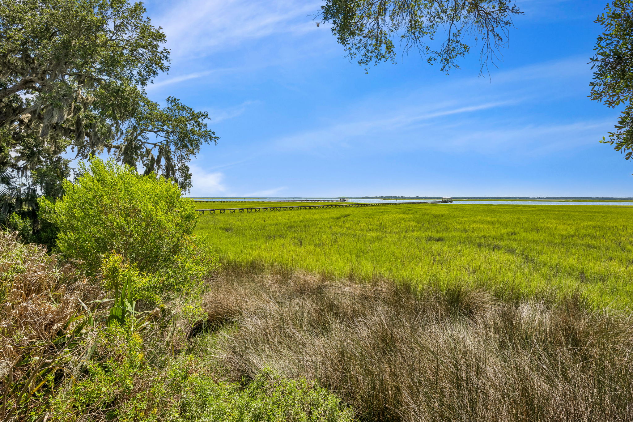 Marsh View