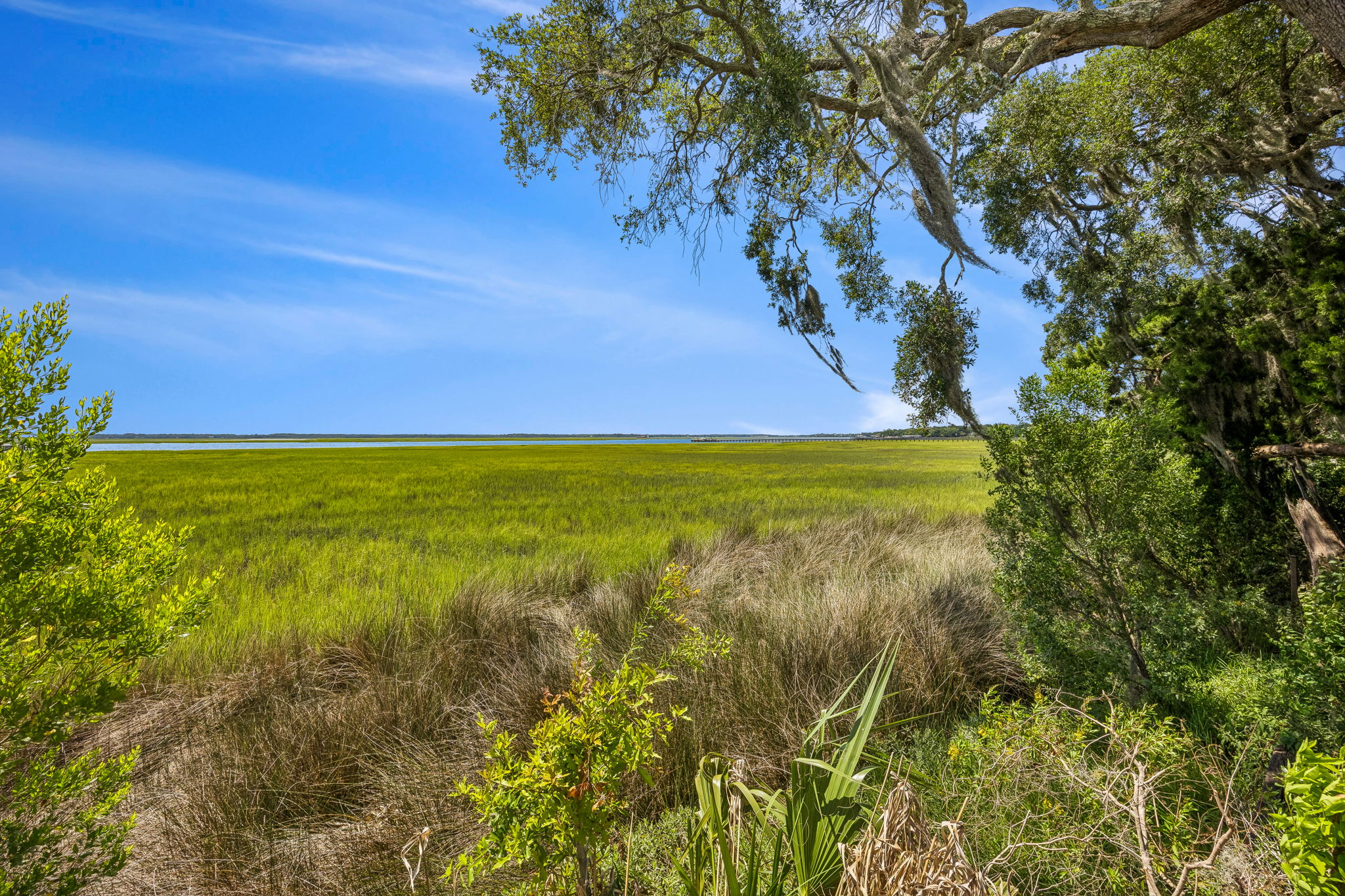 Marsh View
