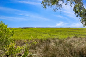 Marsh View