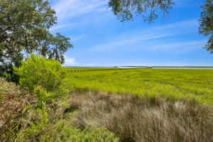 Marsh View