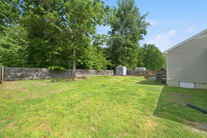 Yard that backs to trees and privacy