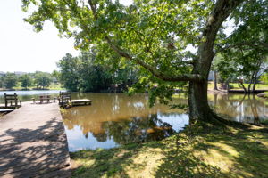  Photo 35