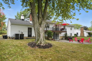  Photo 42