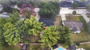  Photo 48