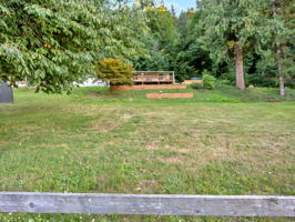  Photo 49