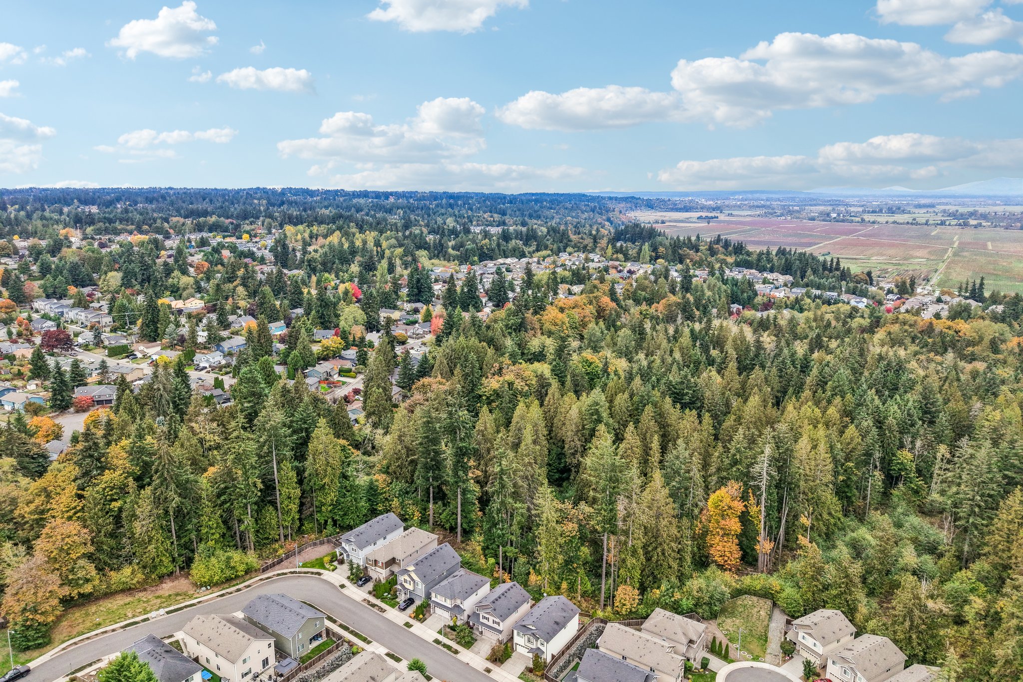 123rd Pl SE-S1410-060.jpg