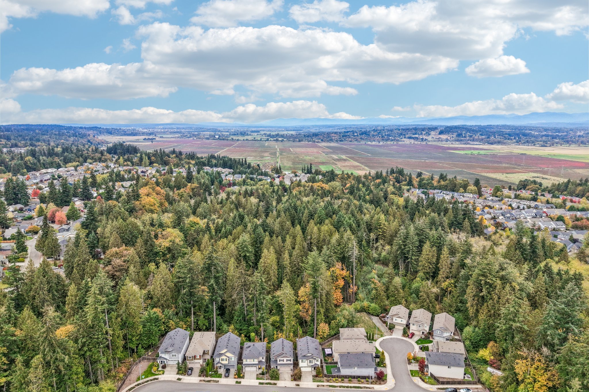 123rd Pl SE-S1410-061.jpg