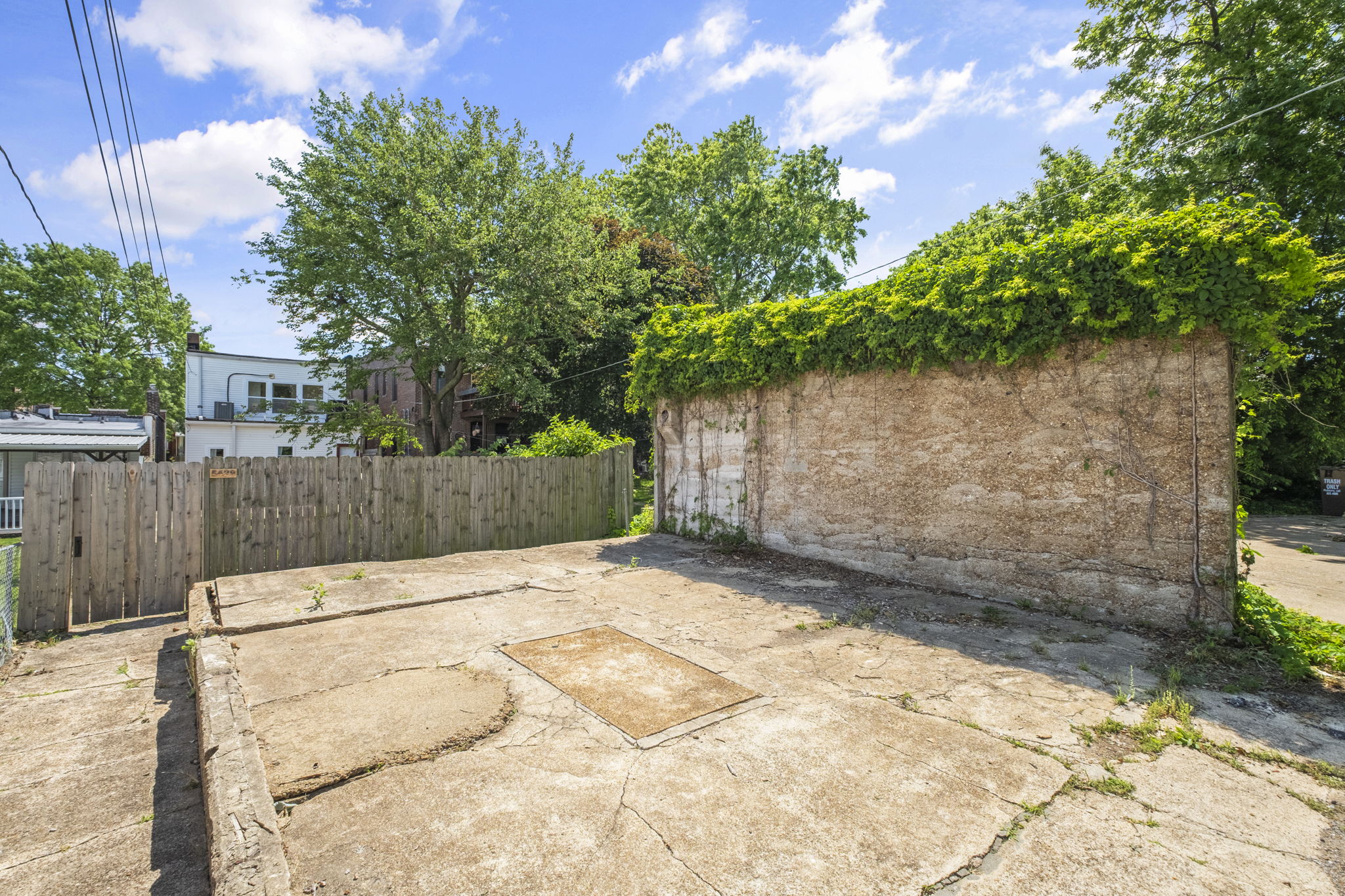  Photo 43