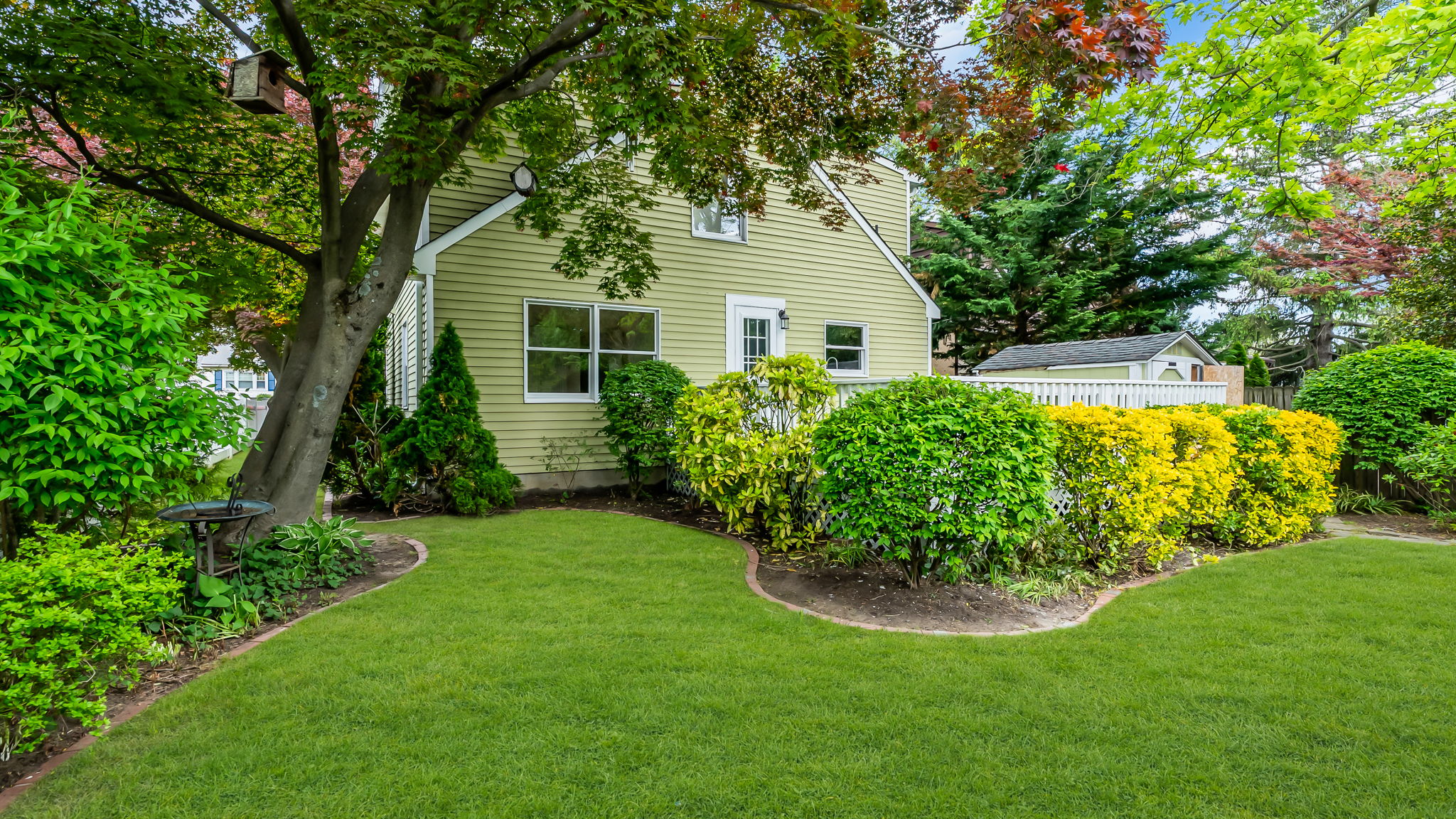  Photo 55