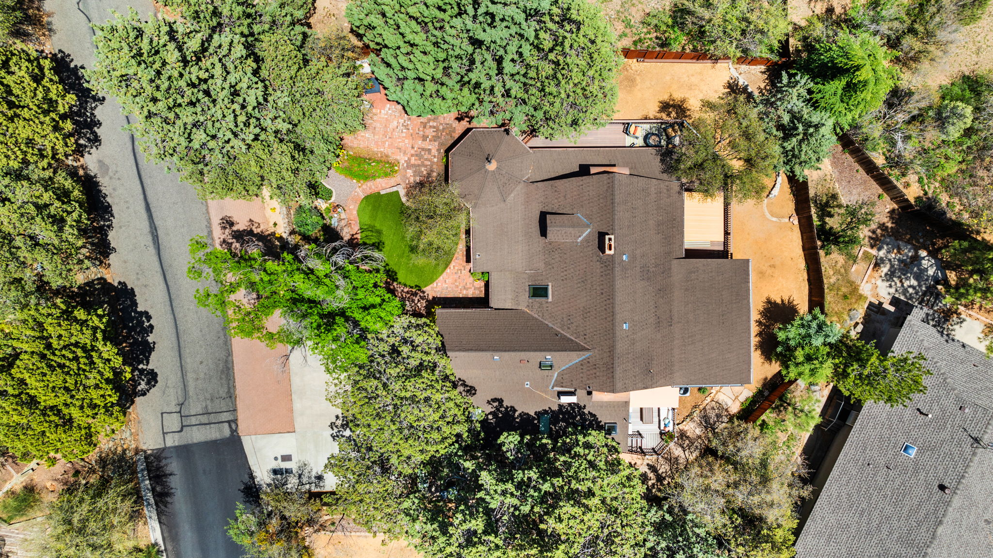 Birds Eye