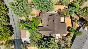 Birds Eye