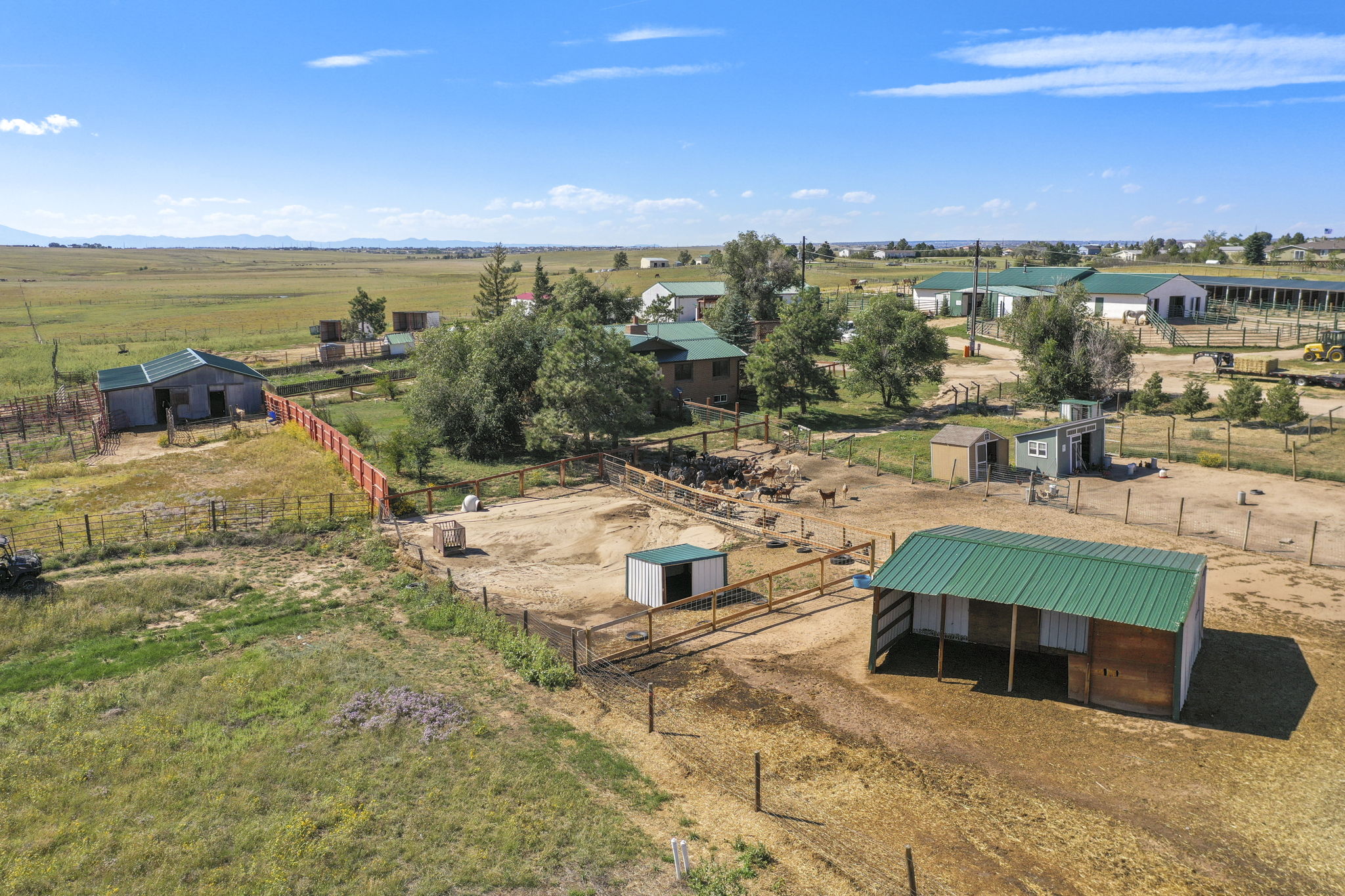 Goat barn and pens with lean-to