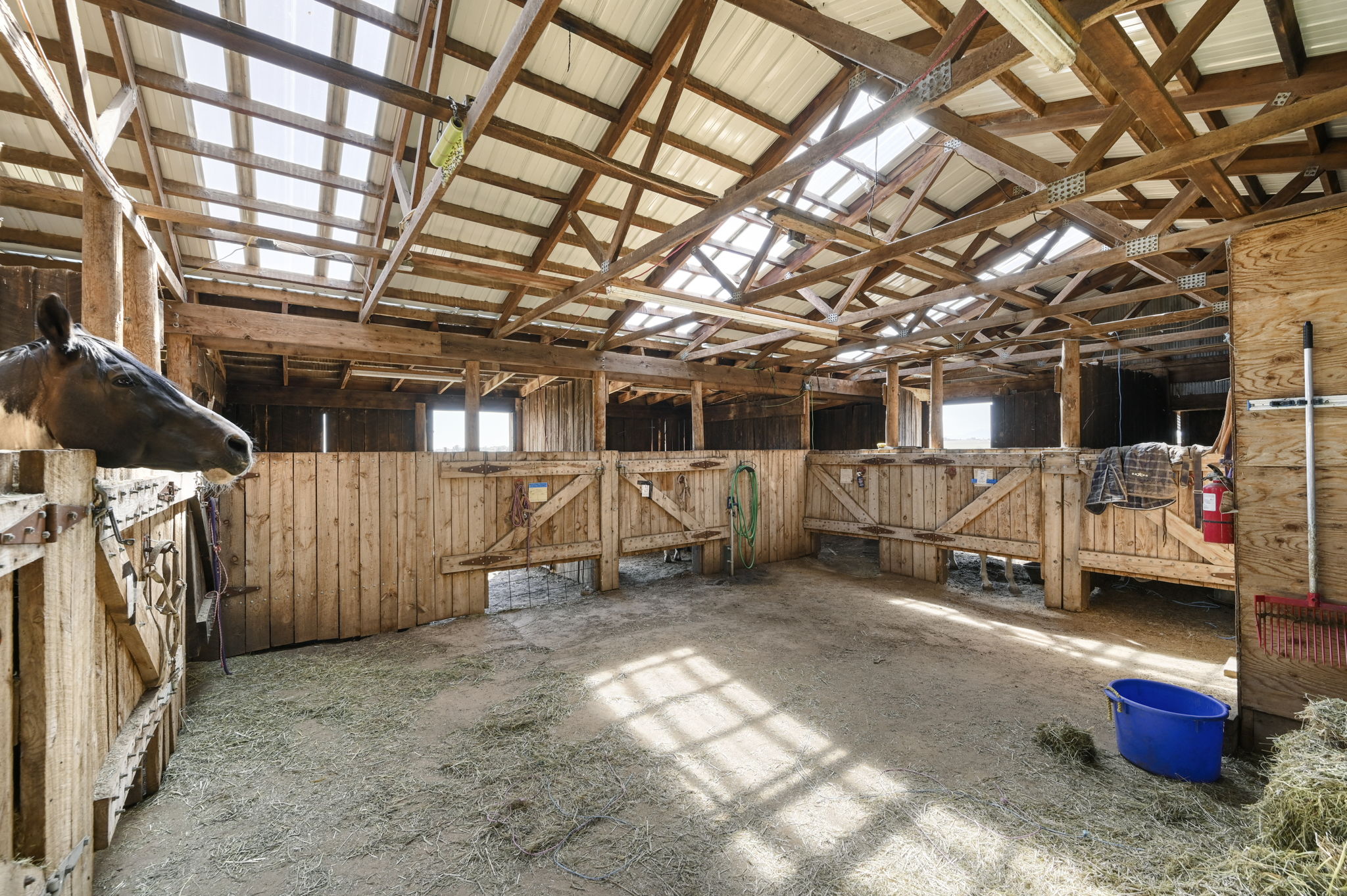 2 Stable with 8 stalls/runs