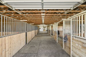 Primary stable stalls