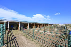 Lean-to shed row with runs