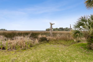Marsh View