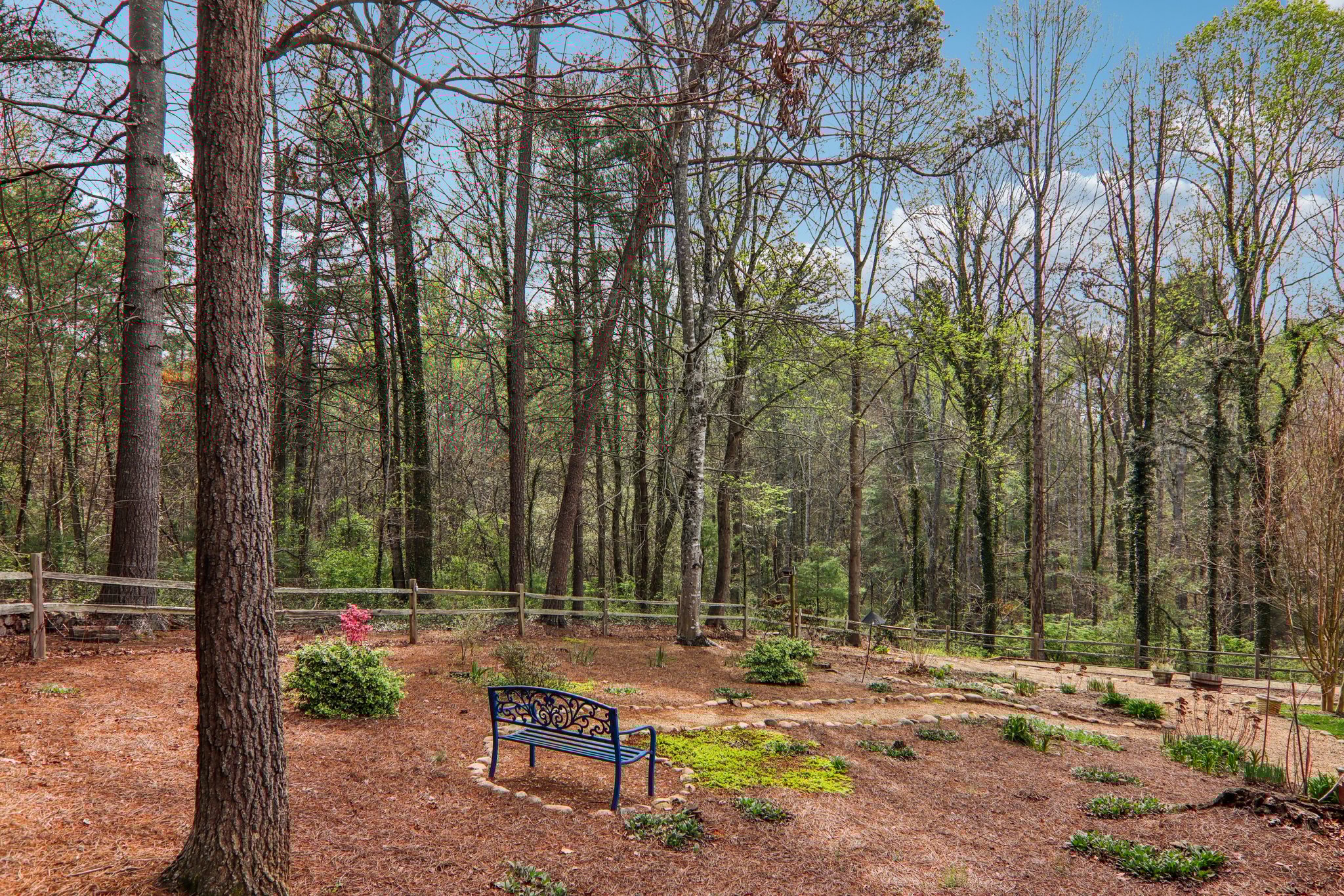 Bluebird Ridge-S0404-054.jpg