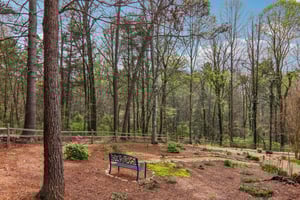 Bluebird Ridge-S0404-054.jpg