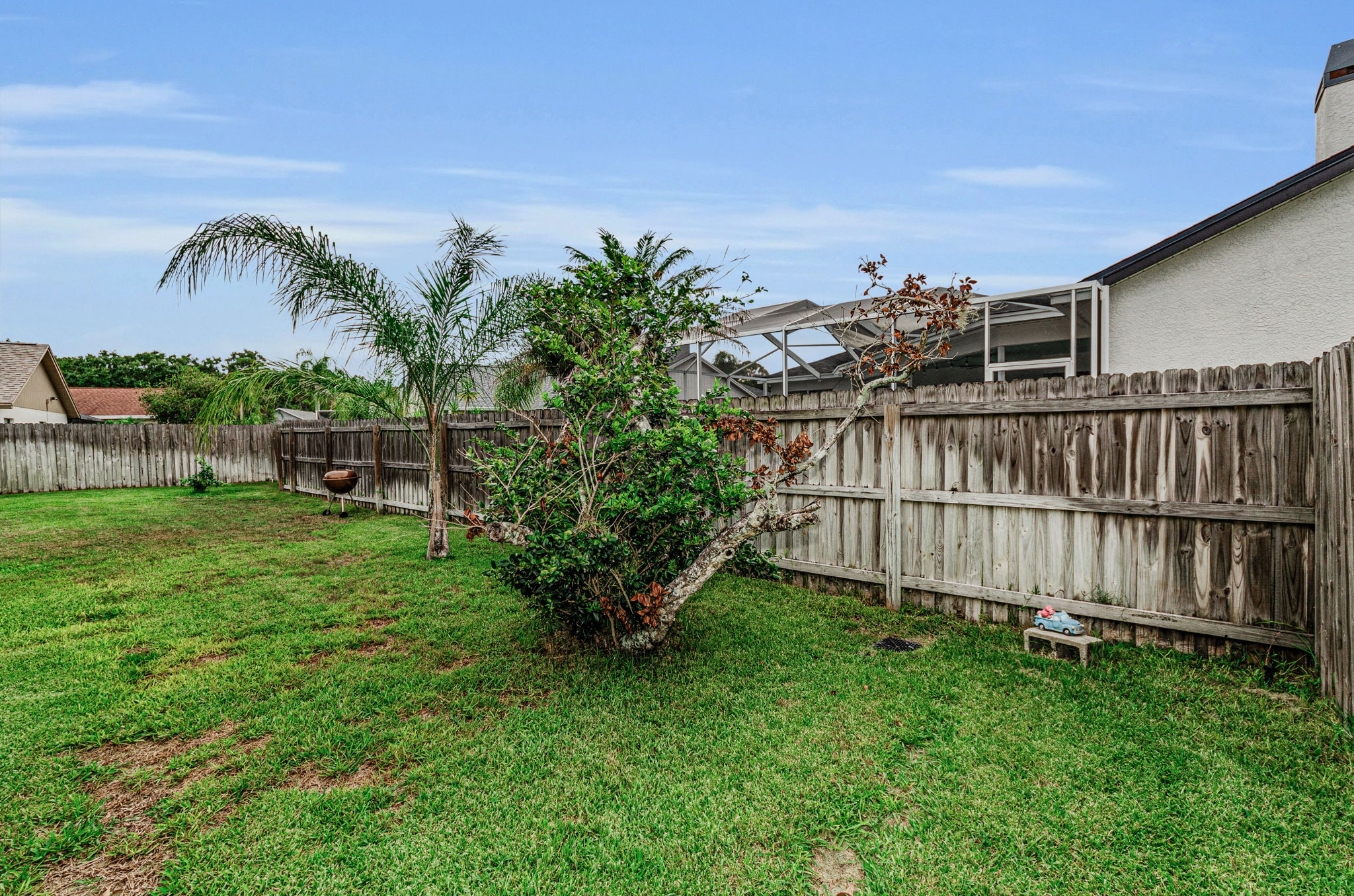Backyard7