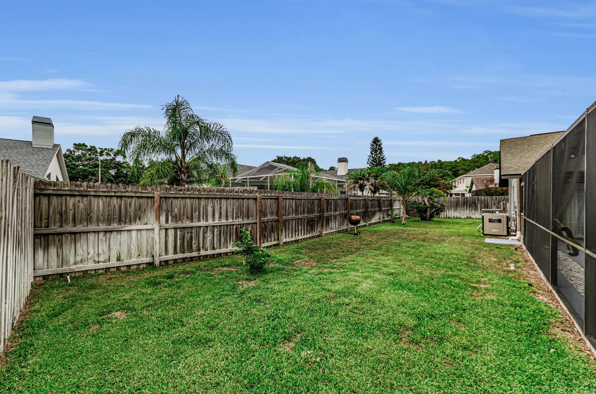 Backyard1
