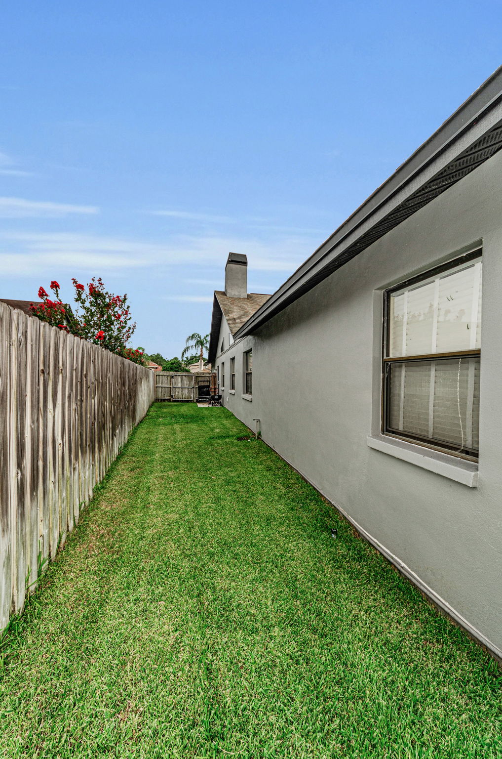 Backyard6