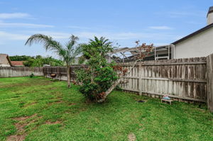 Backyard7