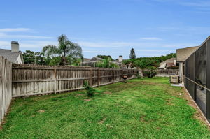Backyard1