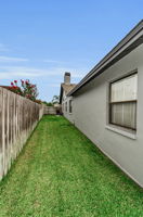 Backyard6