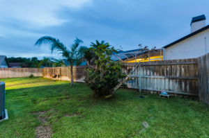 Backyard26