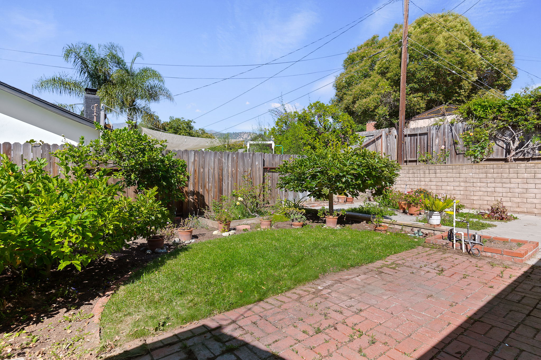 19 - Back Yard
