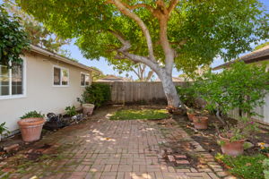 17 - Back Yard