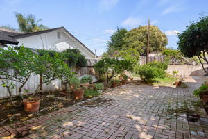 18 - Back Yard