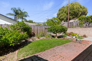 19 - Back Yard