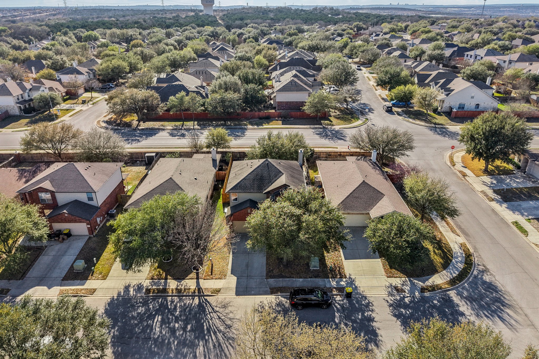 Celtic Ash Run-S0403-005.jpg