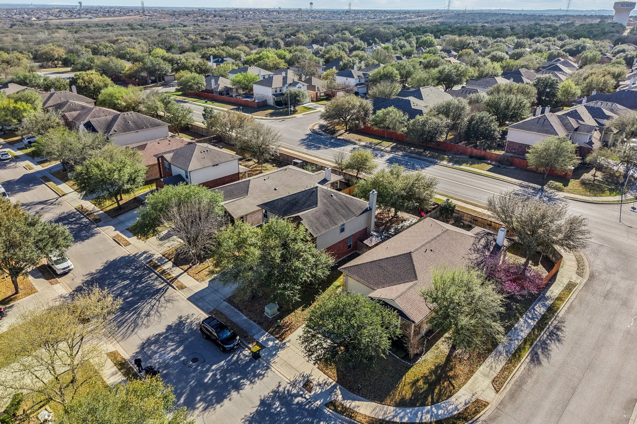 Celtic Ash Run-S0403-006.jpg