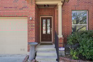 Celtic Ash Run-S0303-004.jpg