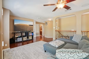 Celtic Ash Run-S0303-022.jpg