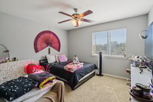 Celtic Ash Run-S0303-036.jpg